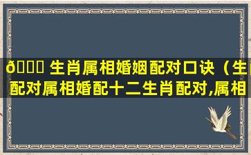 🍀 生肖属相婚姻配对口诀（生肖配对属相婚配十二生肖配对,属相婚姻）